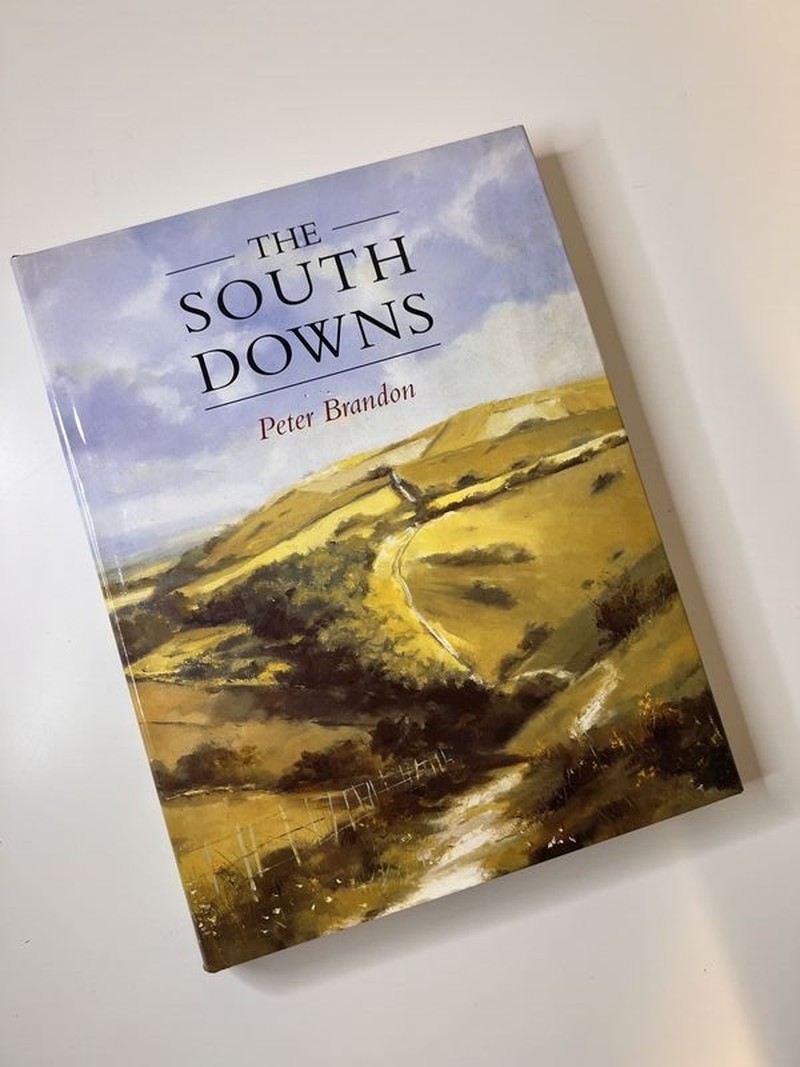 The South Downs by Peter Brandon