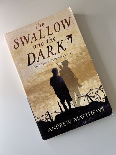 The Swallow and the Dark by Andrew Matthews