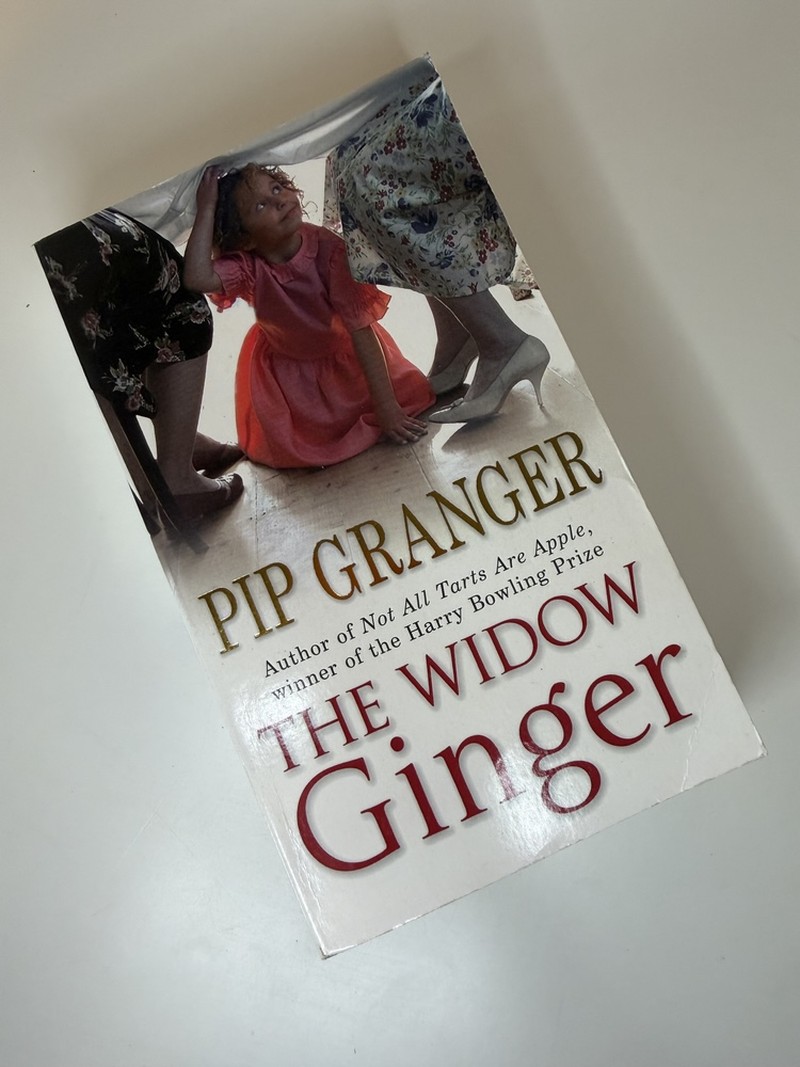 The Widow Ginger by Pip Granger