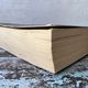The Year of the Flood by Margaret Atwood — secondhand book