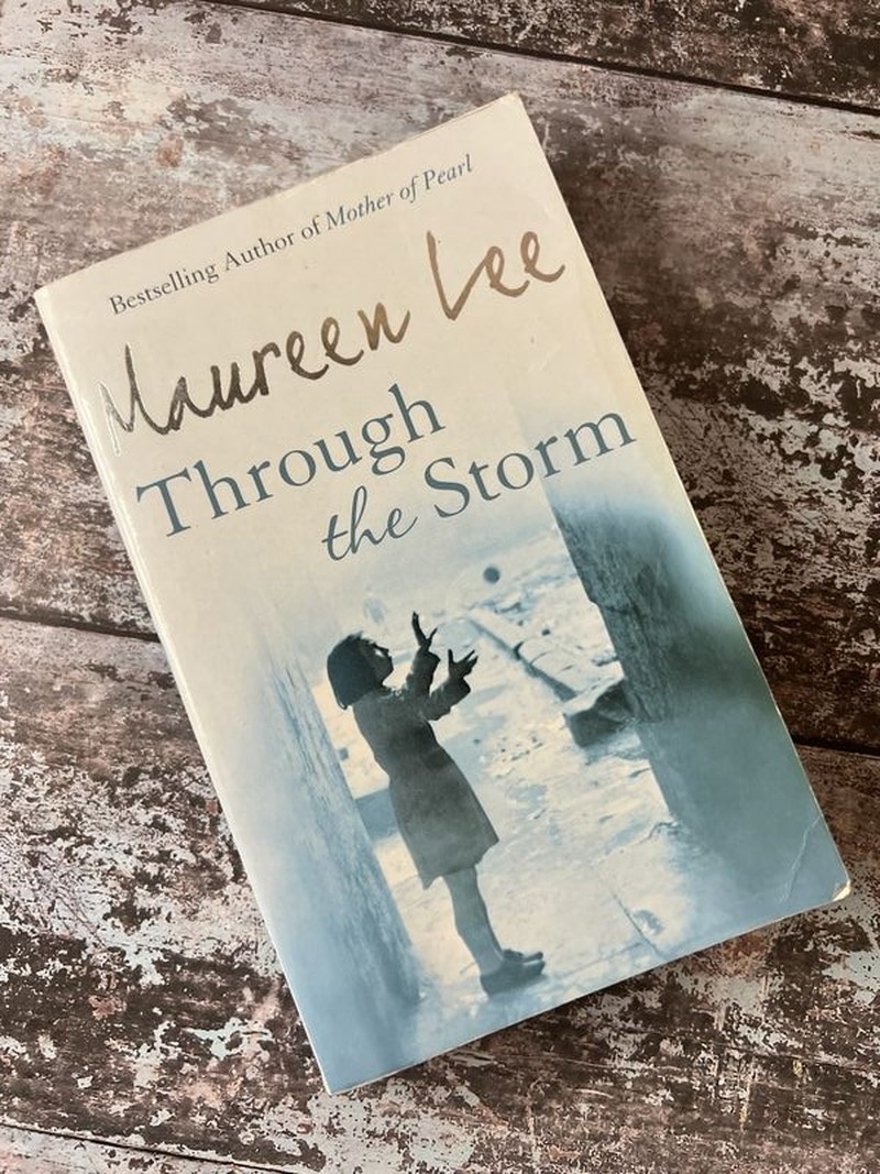 Through the Storm by Maureen Lee