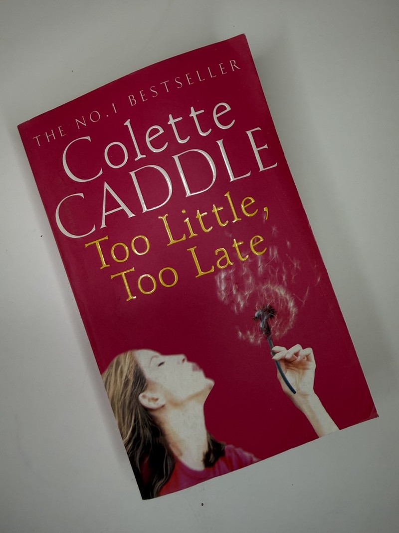 Too Little, Too Late by Colette Caddle