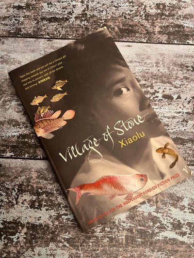 Village of Stone by Guo Xiaolu