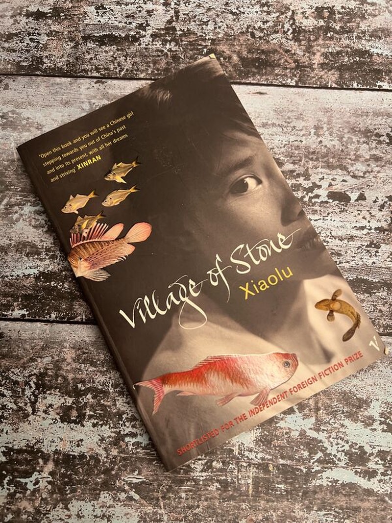 Village of Stone by Guo Xiaolu