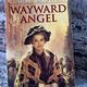 Wayward Angel by Elaine Crowley — secondhand book
