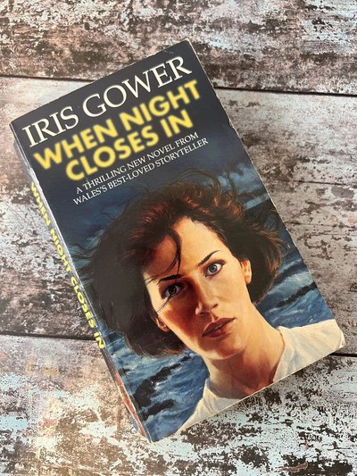 When Night Closes In by Iris Gower