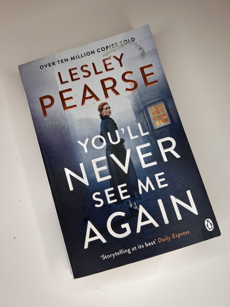 You'll Never See Me Again by Lesley Pearse