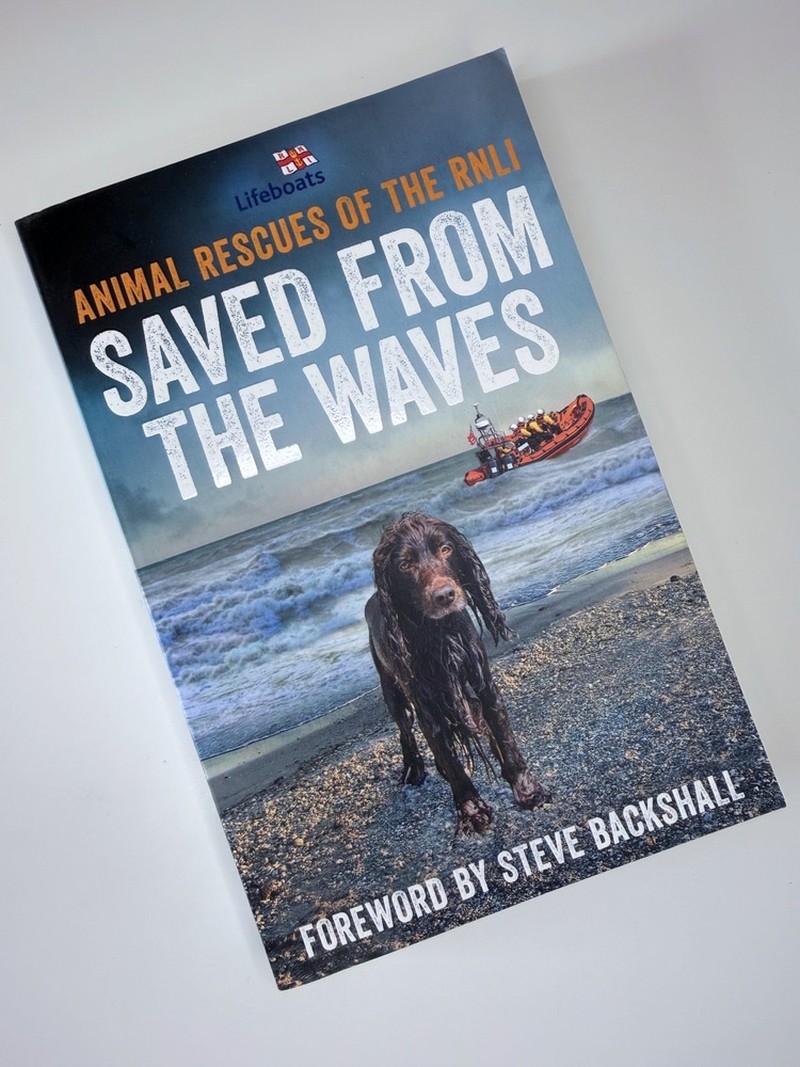 Saved from the Waves by The RNLI