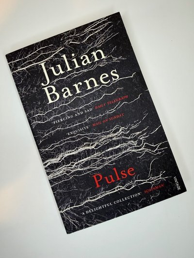 Pulse by Julian Barnes