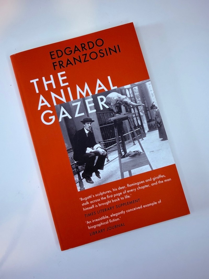 Animal Gazer by Edgardo Franzosini