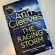 Raging Storm by Ann Cleeves