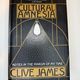 Cultural Amnesia by Clive James