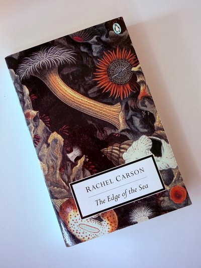 Edge of the Sea by Rachel Carson