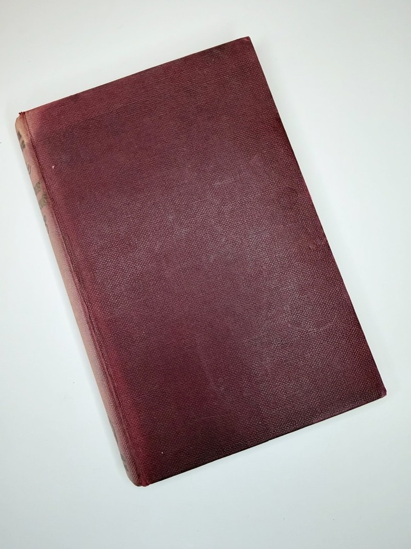 No More Meadows by Monica Dickens