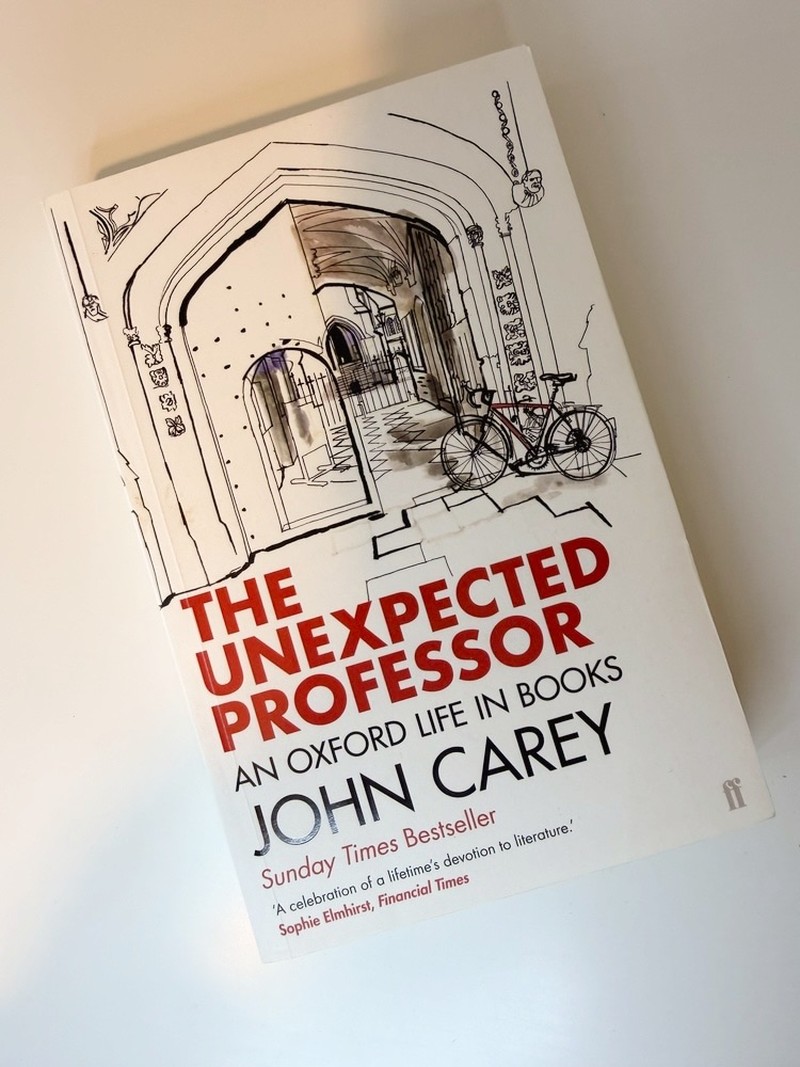 The Unexpected Professor by John Carey