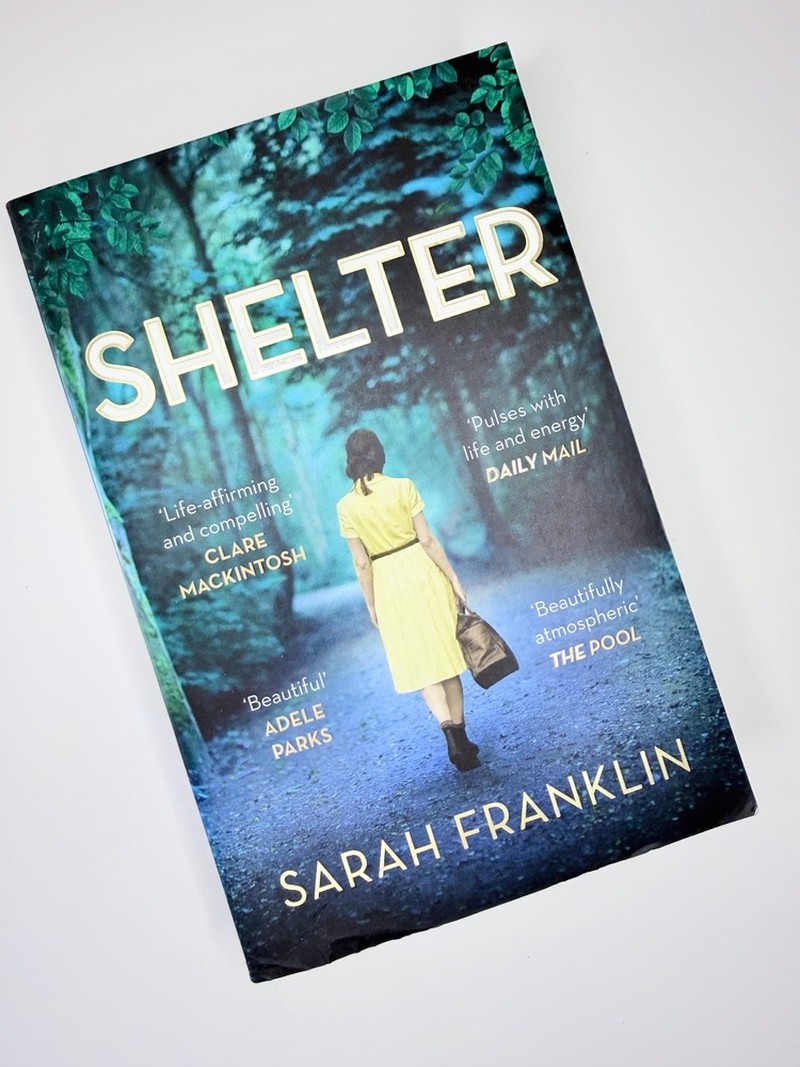 Shelter by Sarah Franklin