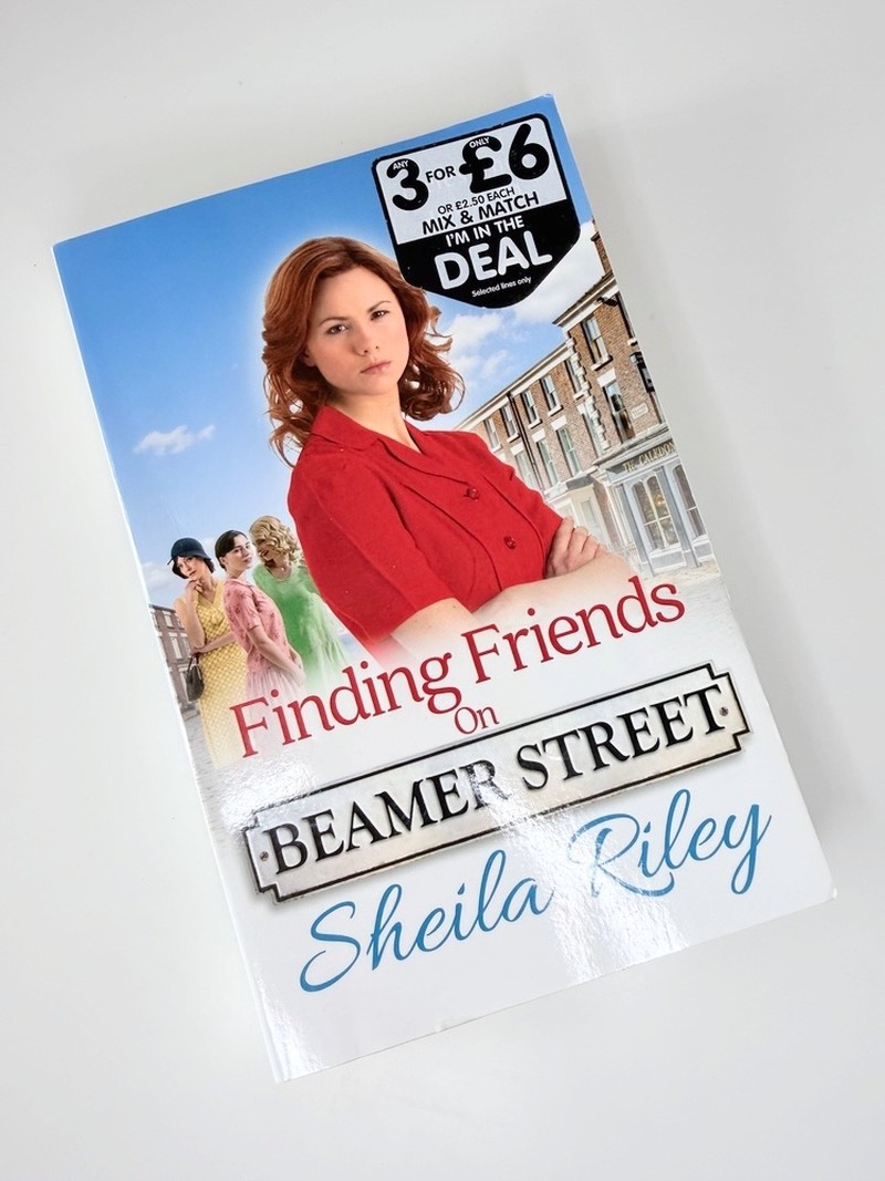 Finding Friends on Beamer Street by Sheila Riley