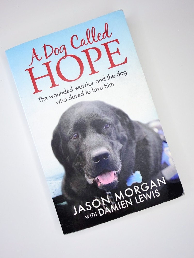 A Dog Called Hope by Damien Lewis, Jason Morgan