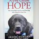 A Dog Called Hope by Damien Lewis, Jason Morgan