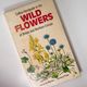 Wild flowers of Britain and Northern Europe by Marjorie Blamey, Richard Fitter