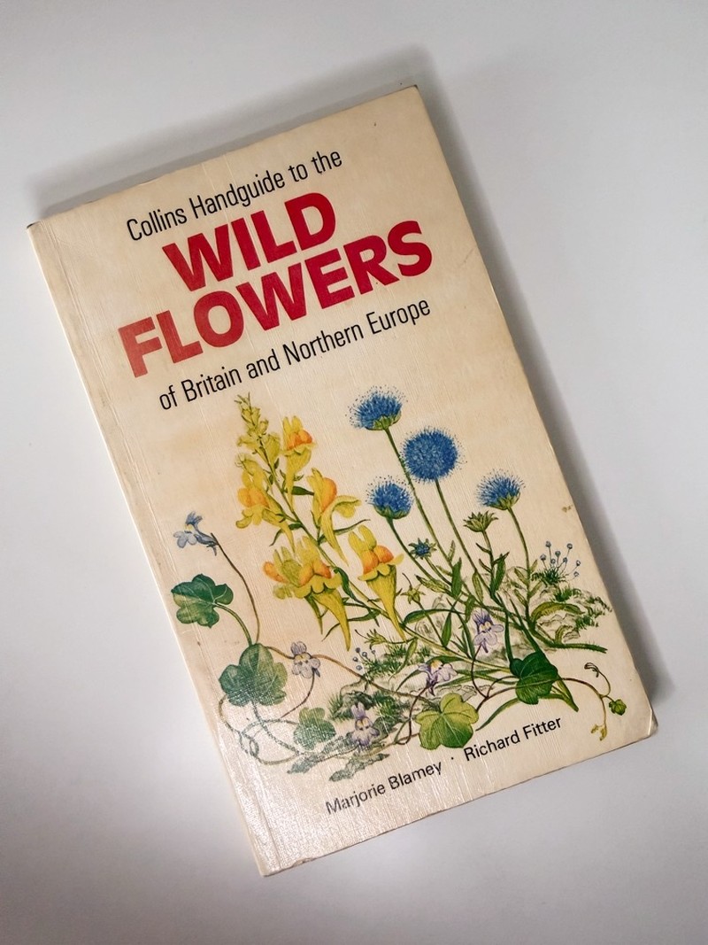 Wild flowers of Britain and Northern Europe by Marjorie Blamey, Richard Fitter