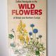 Wild flowers of Britain and Northern Europe by Marjorie Blamey, Richard Fitter