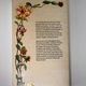 Wild flowers of Britain and Northern Europe by Marjorie Blamey, Richard Fitter