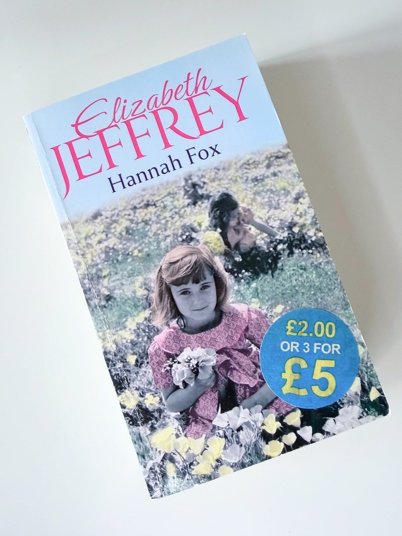 Hannah Fox by Elizabeth Jeffrey
