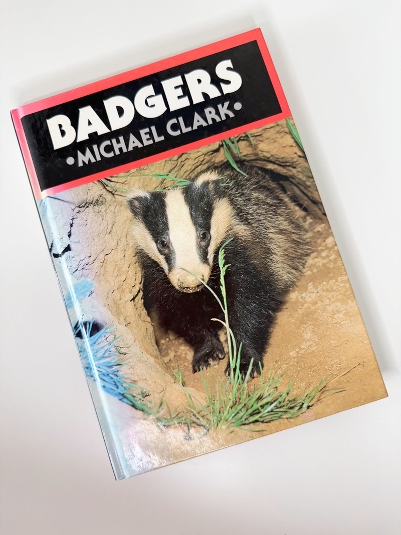 Badgers by Michael Clark