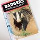 Badgers by Michael Clark
