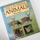 Discovering animals by Tony Soper