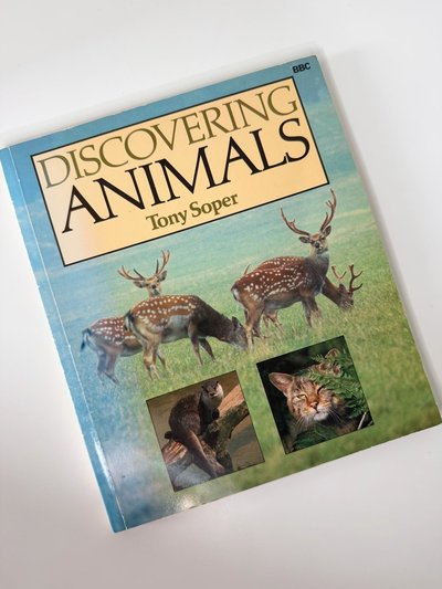 Discovering animals by Tony Soper