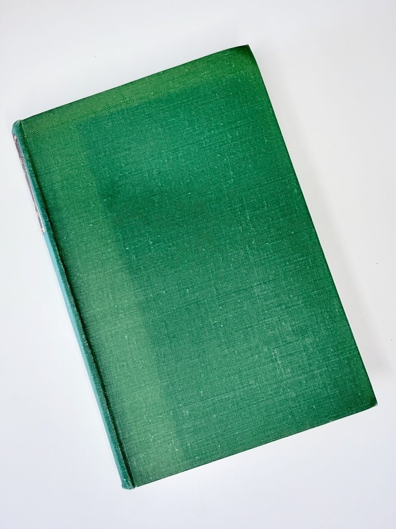 Rain on the Wind by Walter Macken