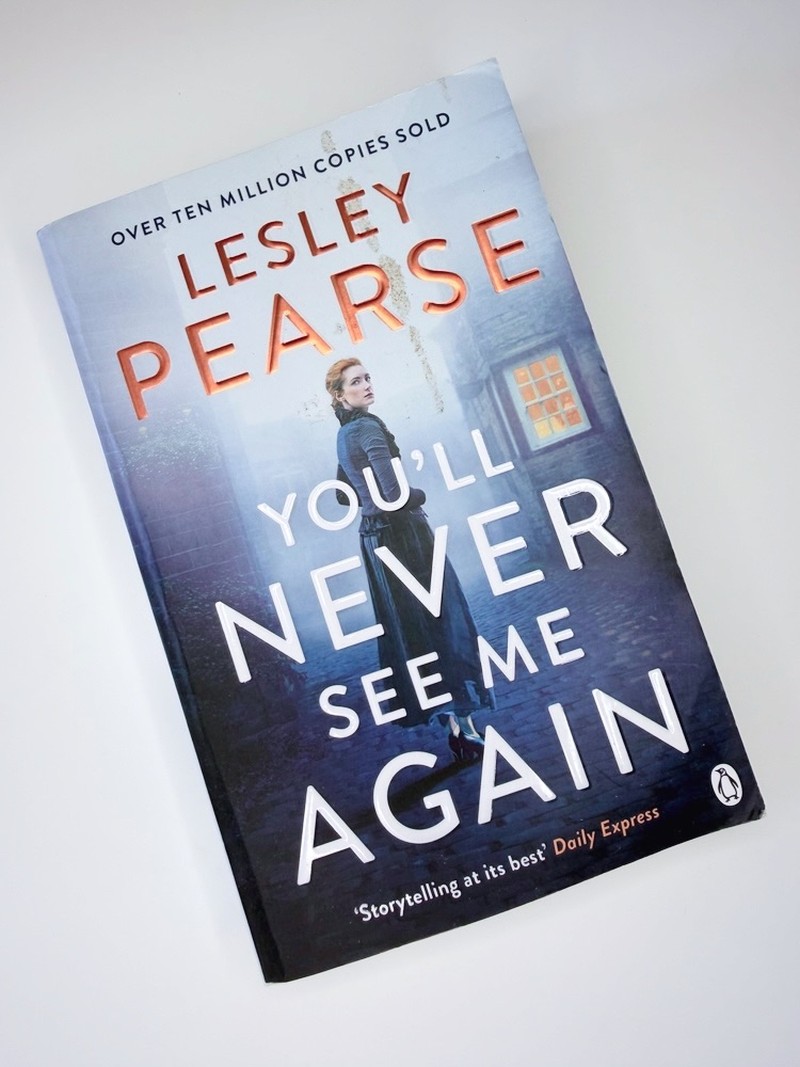You'll Never See Me Again by Lesley Pearse