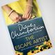 The Escape Artist by Diane Chamberlain