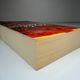 Fire and Rain by Diane Chamberlain