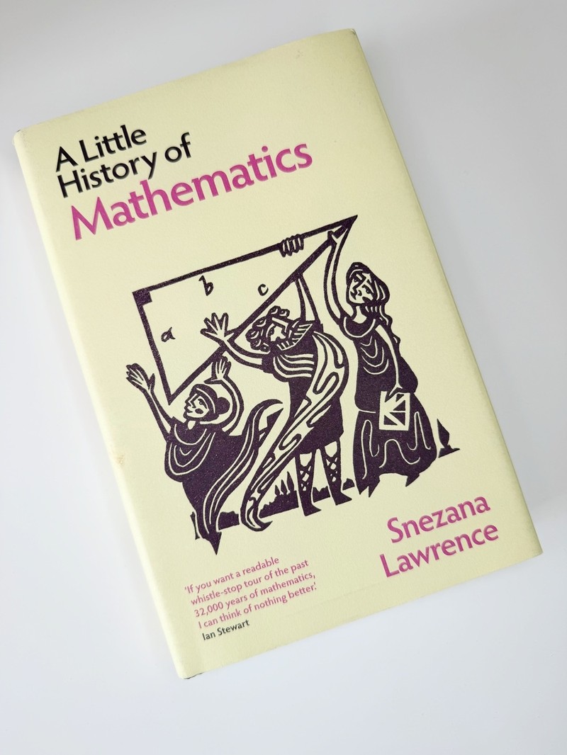 A Little History of Mathematics by Snezana Lawrence