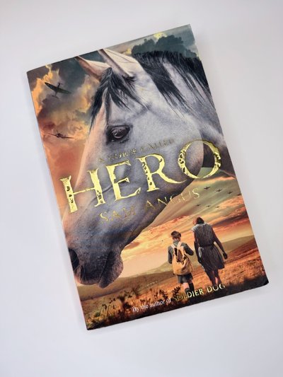 A Horse Called Hero by Sam Angus