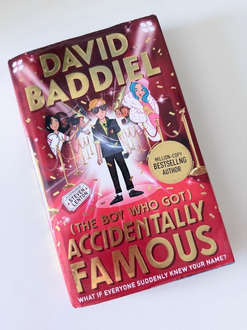 The Boy Who Got Accidentally Famous by David Baddiel