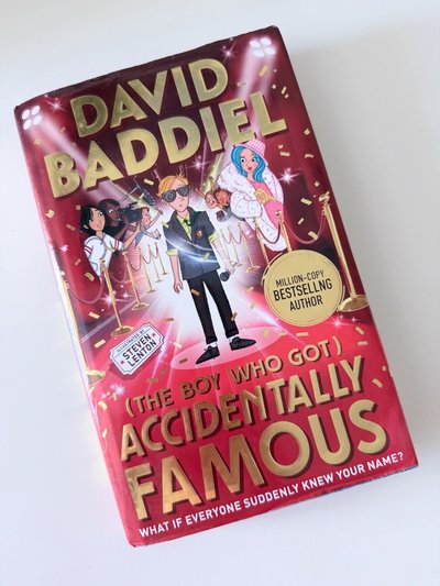 The Boy Who Got Accidentally Famous by David Baddiel