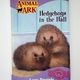 Hedgehogs in the hall by Lucy Daniels