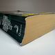 The Girl Who Kicked the Hornets' Nest by Stieg Larsson
