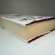 Hollywood Divorces by Jackie Collins