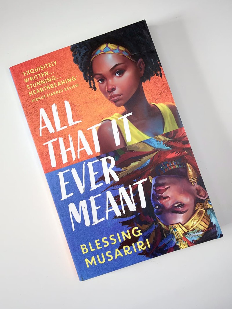 All That it Ever Meant by Blessing Musariri