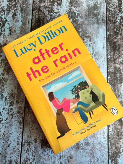 An image of the novel by Lucy Dillon - After the Rain