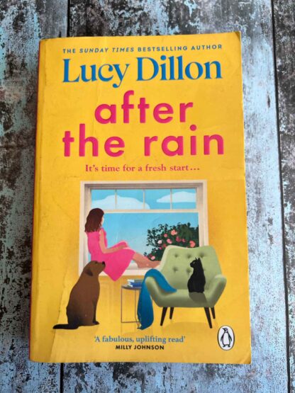 An image of the novel by Lucy Dillon - After the Rain