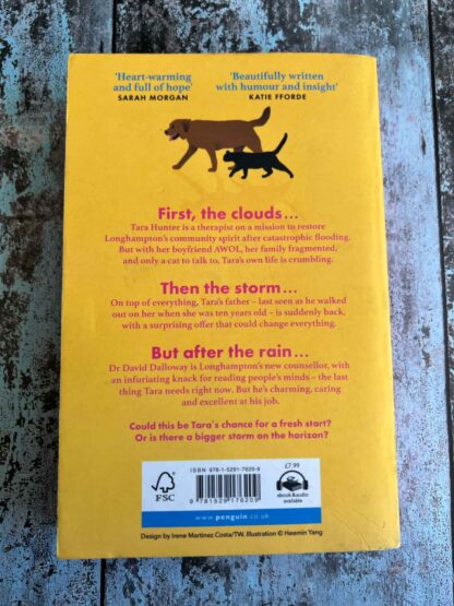 An image of the novel by Lucy Dillon - After the Rain