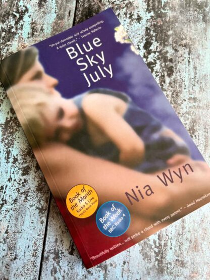 An image of the novel by Mia Wyn - Blue Sky July