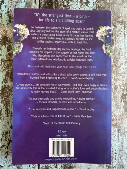 An image of the novel by Mia Wyn - Blue Sky July