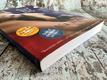 An image of the novel by Mia Wyn - Blue Sky July
